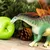 Safari Amargasaurus dinozaver