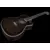 Seagull Artist Mosaic CH CW | Bourbon Burst GT EQ