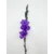 Umetna Gladijola 86 cm modro-vijoličasta - 76 do 100 cm