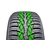 NOKIAN zimska pnevmatika 225 / 45 R17 91H WR D4