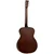 Tanglewood Crossroads TWCR OE elektro-akustična gitara