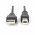 Digitus USB 2.0 priključni kabel [1x USB 2.0 A - 1x USB 2.0 B] 5 m črn Digitus