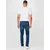 JOOP! Jeans Kavbojke Mitch, modra