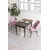 Hanah Home trpezarijski set Arp, sto i 2 stolice, ploča u dekoru drveta Baroque, roze tkanina Babyface