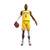 NBA Figura Lebron James Hasbro 37947