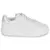 Kangaroos K-GK Ready EV Bela