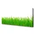 tulup.si Slika na platnu Grass nature rastlin 120x60 cm