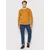 Levis  Jeans straight 502 TAPER  Modra