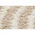 Bež preproga 160x230 cm Axis – ESTE
