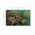 Wallxpert Slika na platnu 4570VANGOGH069, 45 x 70 cm