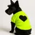 Paws & Whiskers Odelo za pse Neongreensweat, Zeleno