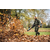 STIHL pihalnik BR800 C-E