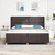 vidaXL vidaXL Box Spring postelja z vzmetnico in LED temno rjava 200x200 cm tkanina, (22049290)