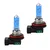 shumee ŽARNICE MARBA LIGHT WHITE EFFECT H8 35W 12V