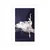 Plakat s paspartujem strasten ples baletke - 30x45 silver