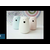 Rabbit n Friends lampa medved sa daljinskim bela