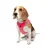 Paws & Whiskers Am za pse Air-Mesh, Roze