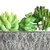 Eglo 428009 - Veštački sukulent u saksiji CHITOSE 14,5x17,8 cm