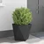 Sadilica 2 pcs Crna 50 x 50 x 50 cm Čelik