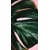 Fototapeta list monstere - 147x270
