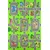 CONCEPTUM HYPNOSE Tepih (160x230) WOOKECE158