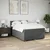 Vidaxl Box spring postelja z vzmetnico temno siva 160x200 cm blago
