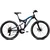 CAPRIOLO GTX 260 DISK 2018 26