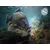 Boili Delphin D Snax Shell 10-14mm/Mango Peach