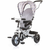 Chipolino tricikl MaxRide - Gray