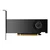 PNY RTX 2000 Ada Generation 16GB DDR6 ECC VCNRTX2000ADA-SB low profile profesionalna bulk grafična kartica