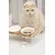 Paws & Whiskers Set činija za hranu za kućne ljubimce, 3 komada, Providni