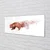 tulup.si Steklena slika Bear 140x70 cm 2 obešalnika