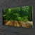 tulup.si Steklena slika Forest narava rastlin 100x50 cm 4 obešalnika