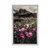 Plakat travnik cvetočih cvetlic - 30x45 silver