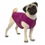 Kurgo Core pulover za pse Heather Violet M