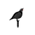 WALLXPERT Dekorativni set Quails