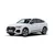 Side protective moldings Audi Q5 2021-2024