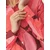 TATUUM Bluza LERIA roza/rdeča