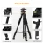 K&F CONCEPT S255A3+BH-36