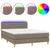 Vidaxl Box spring postelja z vzmetnico LED taupe 140x190 cm blago