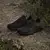 ADIDAS PATIKE TERREX ANYLANDER R.RDY ZA MUŠKARCE