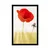 Plakat divji mak - 20x30 no frame