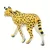 Safari Serval