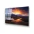 Wallity Image UV-303, 50 x 70 cm