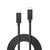 Lindy Thunderbolt 3 kabel, 2 m, črn, pasivni