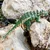 Safari Zuul dinozaver Dino Dana