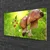 tulup.si Steklena slika Gobe sadje jagode 120x60 cm 2 obešalnika