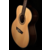 Washburn G7S akustična gitara