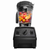 Vitamix blender Explorian E320
