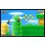 New Super Mario Bros 2 3DS igra